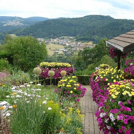 Fleuri Mit Einer Herrlichen Aussicht * Haselbourg
