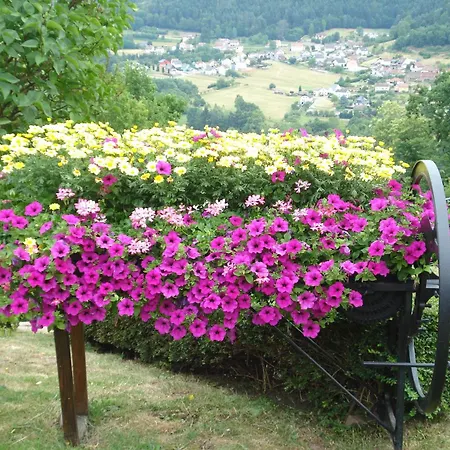 Fleuri Mit Einer Herrlichen Aussicht Haselbourg